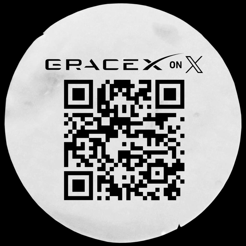 90’s Vintage Black GraceX Graphic Tee, Perfect for Everyone, A Trendy Gift, Unisex Casual Wear, Lounge Inspired Shirt, Unique Apparel